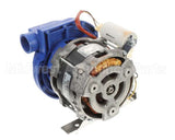 0L0562 Electrolux Professional Pump, 230V 60 Hz 1-P