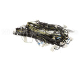 0L1157 Electrolux Professional Wiring Harness, Pw1-Pw2 Usa