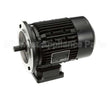 0L1280 Electrolux Professional Motor, 110/190V 50Hz