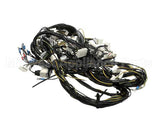 0L3099 Electrolux Professional Wiring Harness