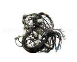 0L3099 Electrolux Professional Wiring Harness