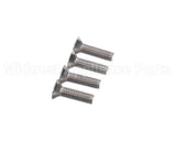 0U0659 Electrolux Professional Screw, 4 Pieces