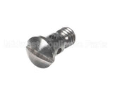 1.3300 Synesso Diffuser Screw, Stainless Steel