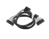 1.4863 Synesso Ribbon Cable, 20 Pin Round, For Handheld