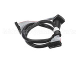 1.4863 Synesso Ribbon Cable, 20 Pin Round, For Handheld
