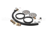 1.7322 Synesso Rebuild Kit, Annual Pm For 2 Group Machi
