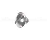 1.8050 Synesso Screws, Ss, 10-32 Truss Hd Slot 1/4"