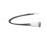 10-6669 Market Forge Pilot Light 240 V.