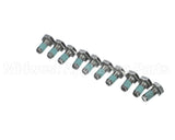 10.00.698P Rational Hex Screw M6X12 W. Precoat 85