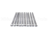 100-10000417 Raypak 100K 409Ss Burner Kit Qty 10