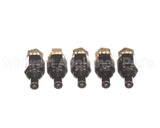100-10000650 Raypak Orifice Pro #79 (.014) 5 Pcs