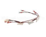 1000005185 Elkay Harness