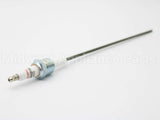 10002219-1 Eclipse Ionization Flame Sensor