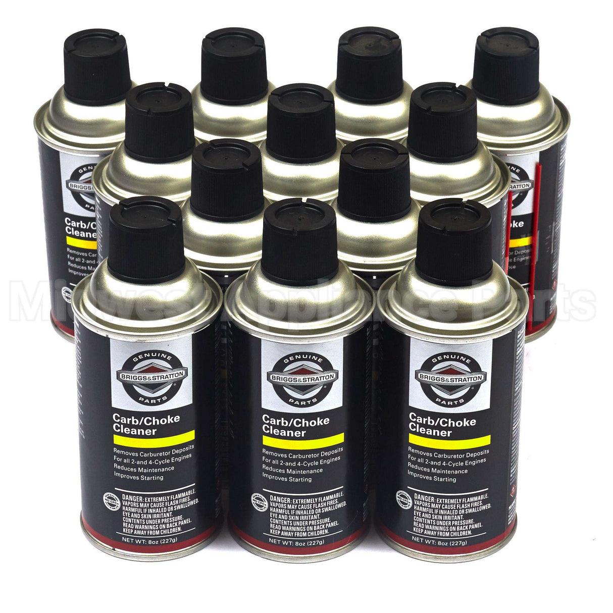 100041 Briggs & Stratton 8Oz Carb Cleaner