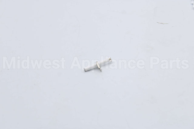 10004177 Bosch Electrode