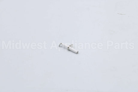 10004177 Bosch Electrode