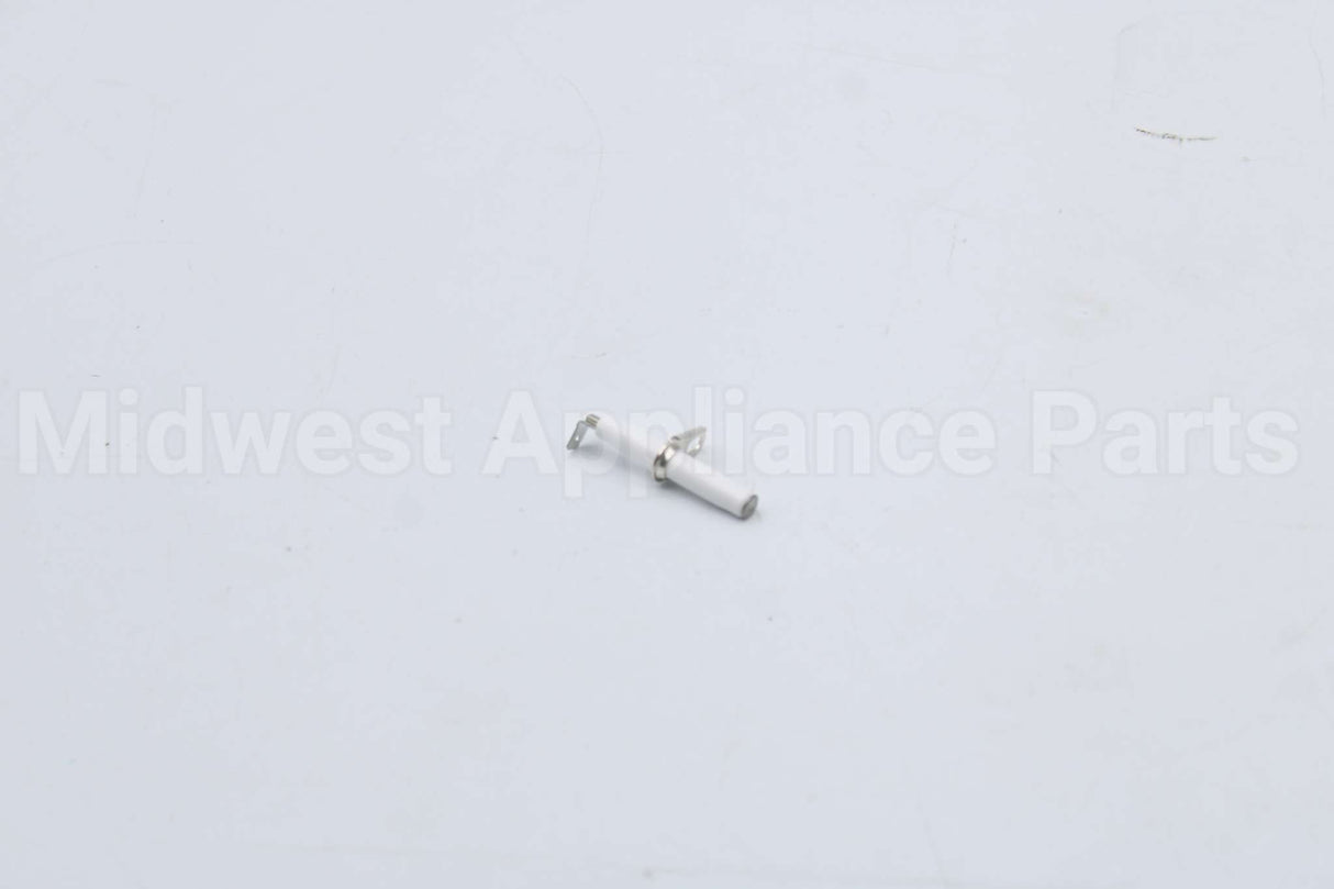 10004177 Bosch Electrode