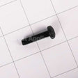 10004531 Bosch Screw