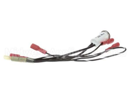100051 Globe Indicator Lamp Assembly