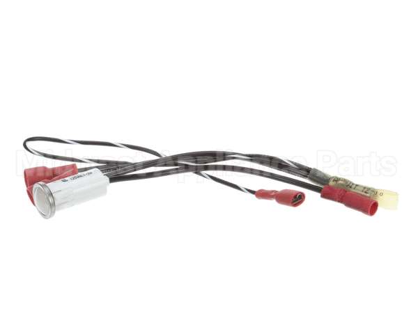 100051 Globe Indicator Lamp Assembly