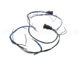 10005602 Lincoln Wireharness,Back,Y