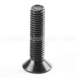 10007320 Bosch Screw