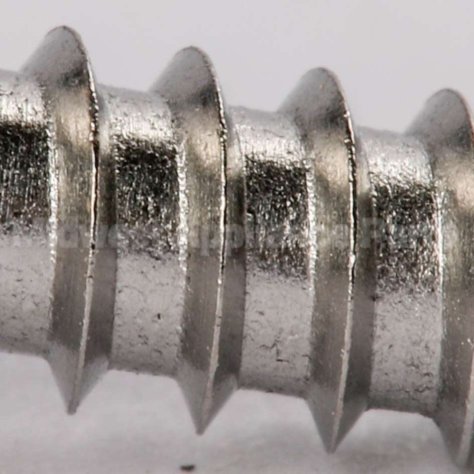 10007837 Bosch Screw