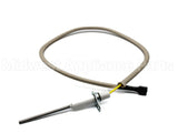 100097250 Lochinvar & A.o. Smith Flame Sensor Pse-Gw1