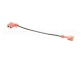 100107 Globe Motor Start Switch Harness