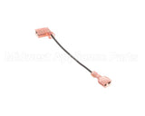 100107 Globe Motor Start Switch Harness