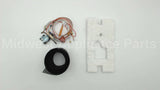 100109290 Lochinvar & A.o. Smith 180 Deg C Pilot Assembly Fv