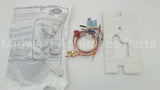 100109295 Lochinvar & A.o. Smith 190 Deg C Pilot Assembly Fv
