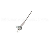 100110707 Lochinvar & A.o. Smith Flame Sensor