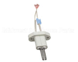 100110899 Polaris Water Heater Natural Gas Igniter Hcg - 9006