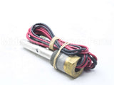 100110951 Lochinvar & A.o. Smith Probe Eco/Thermostat