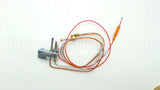 100110984 Lochinvar & A.o. Smith Natural Pilot Assy W/Tubing Wr
