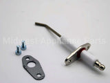 100165930 Lochinvar & A.o. Smith Flame Sensor W/ Gasket