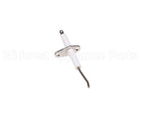 100165931 Lochinvar & A.o. Smith Flame Sensor W/Gasket
