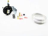 100166248 Lochinvar & A.o. Smith .95"Wc Spdt Pressure Switch
