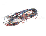 100173240 Lochinvar & A.o. Smith Harnesswire24Vpb/Pf