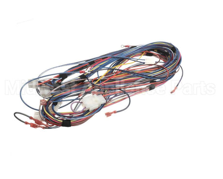 100173240 Lochinvar & A.o. Smith Harnesswire24Vpb/Pf