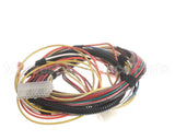 100173305 Lochinvar & A.o. Smith Harnesswiresignalpb/Pf
