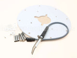 100187881 Lochinvar & A.o. Smith Spark Ignitor Assembly