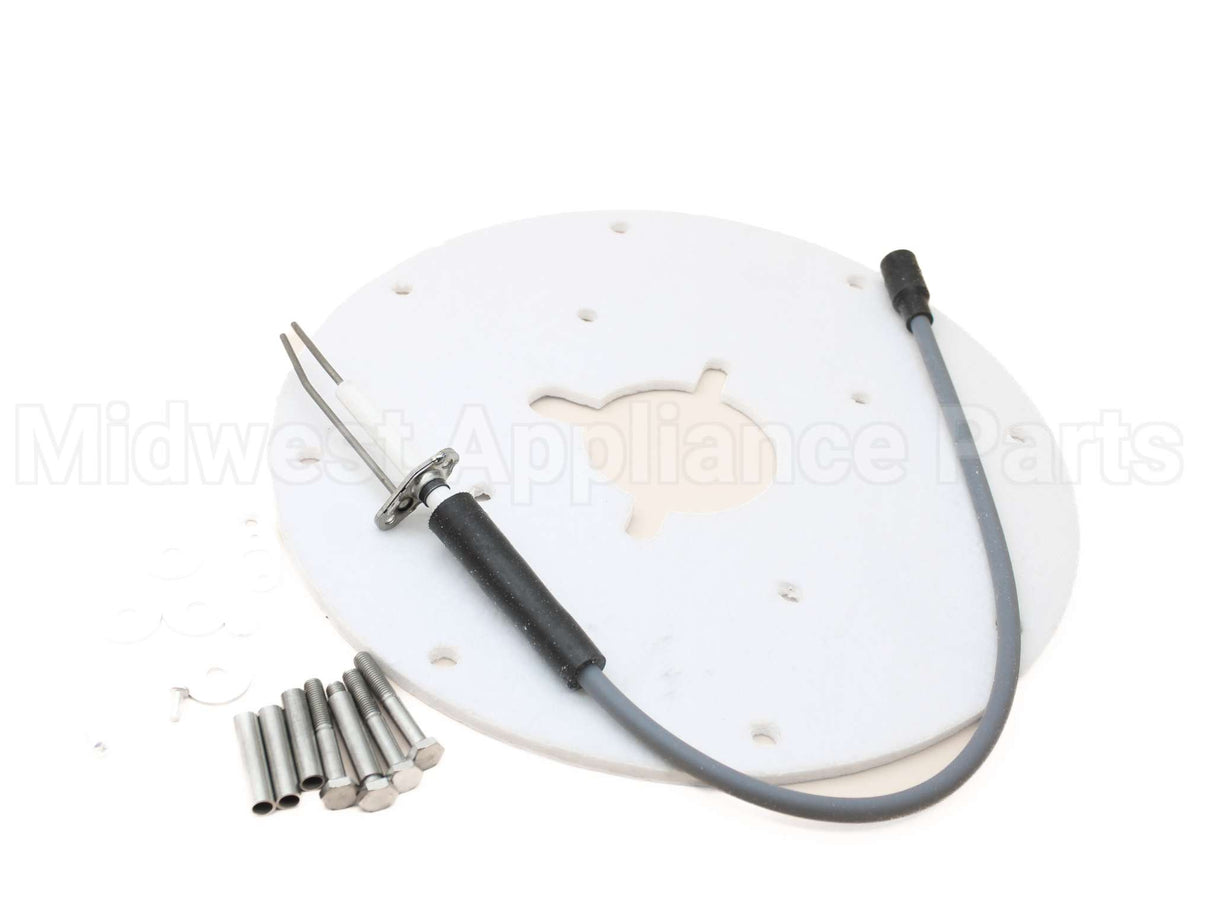 100187881 Lochinvar & A.o. Smith Spark Ignitor Assembly