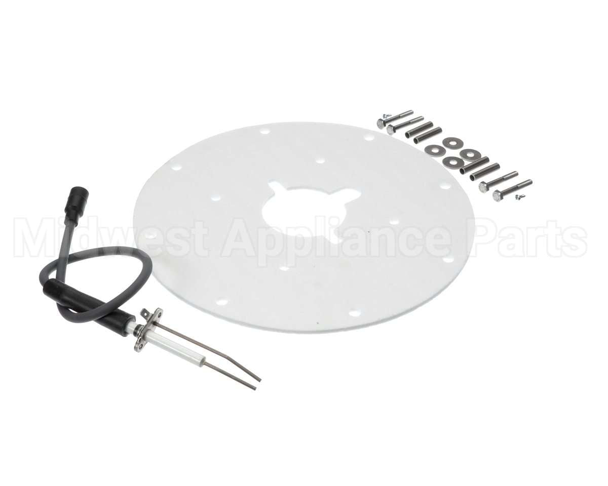 100187881 Lochinvar & A.o. Smith Spark Ignitor Assembly