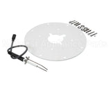 100187881 Lochinvar & A.o. Smith Spark Ignitor Assembly