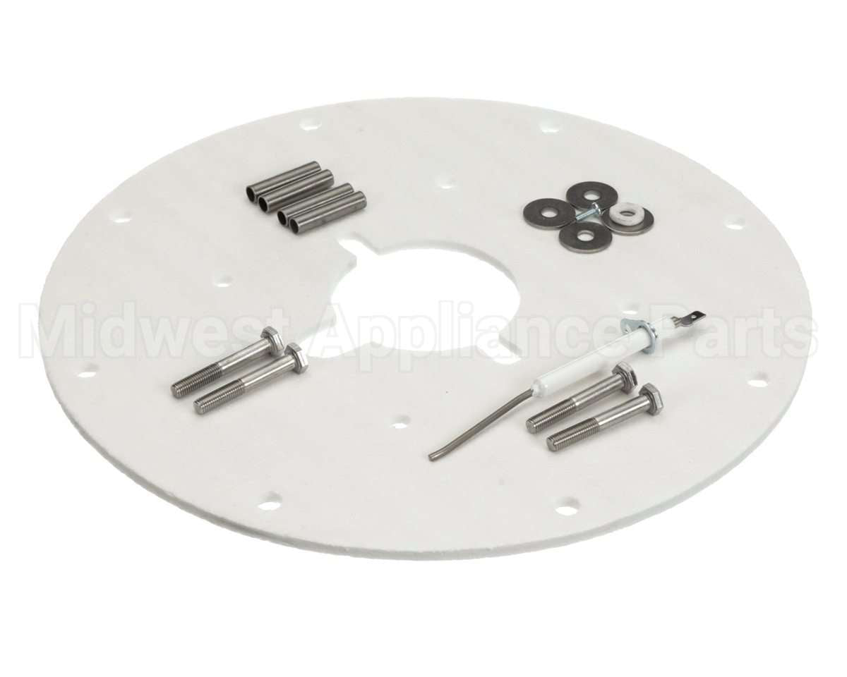 100187882 Lochinvar & A.o. Smith Flame Sensor