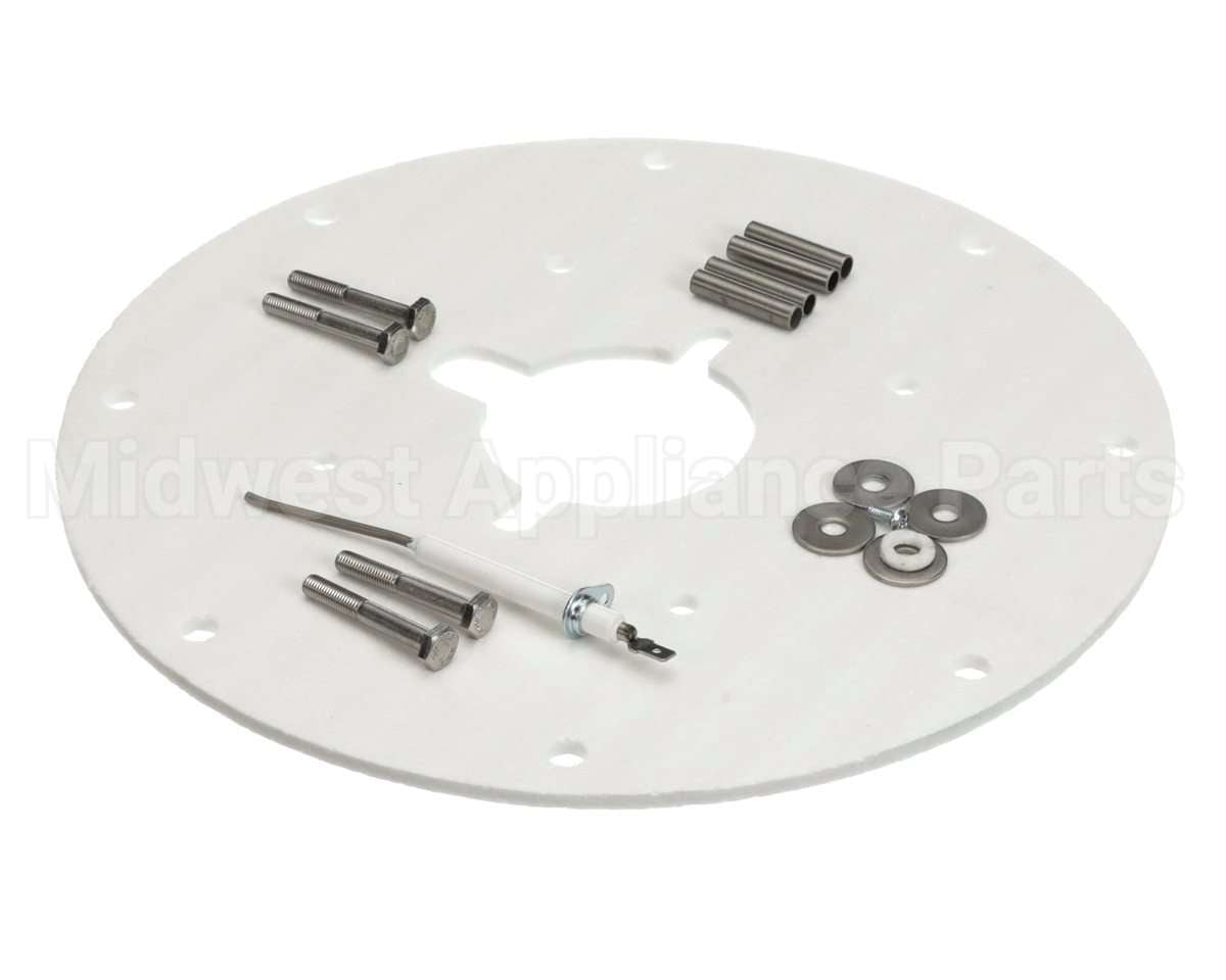 100187882 Lochinvar & A.o. Smith Flame Sensor