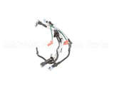 100189 Turbochef High Voltage Wire Assembly, (Magnetron H