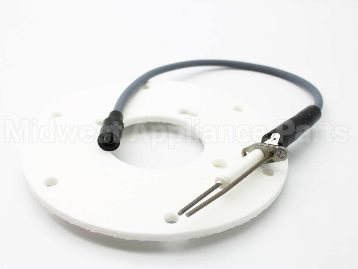 100191120 Lochinvar & A.o. Smith Spark Ignitor Assembly